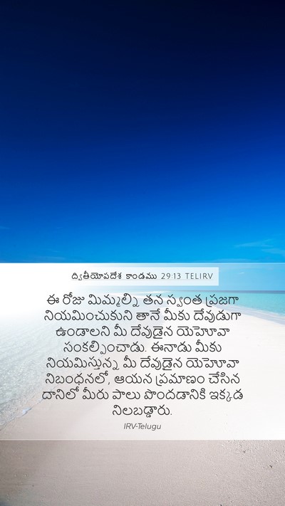 ద్వితీయోపదేశ కాండము 29:13 TELIRV Bible Verse Image