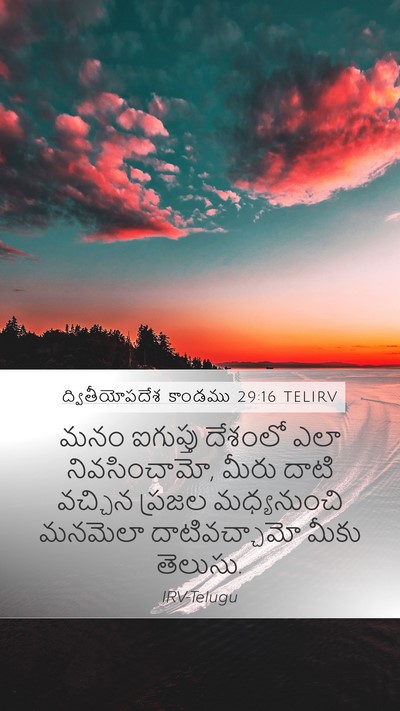 ద్వితీయోపదేశ కాండము 29:16 TELIRV Bible Verse Image