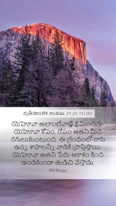 ద్వితీయోపదేశ కాండము 29:20 TELIRV Bible Verse Image