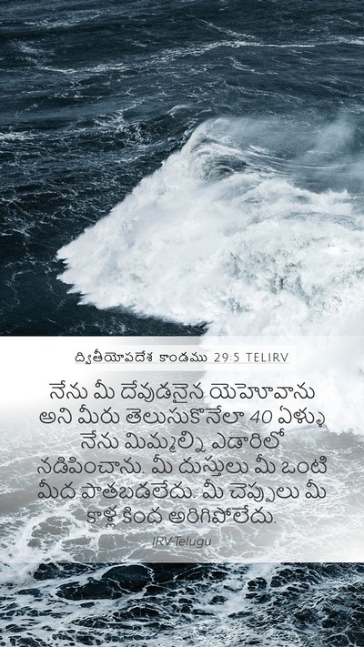 ద్వితీయోపదేశ కాండము 29:5 TELIRV Bible Verse Image