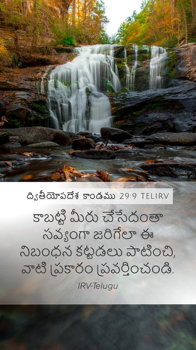 ద్వితీయోపదేశ కాండము 29:9 TELIRV Bible Verse Image