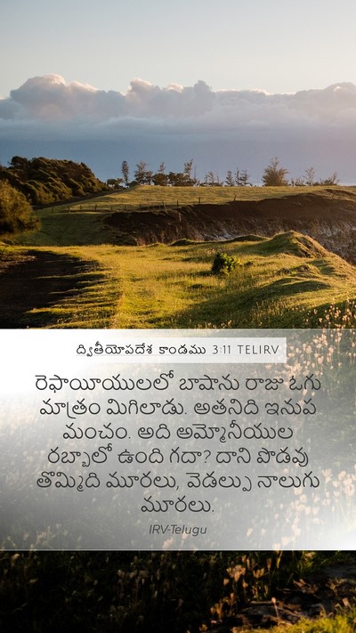 ద్వితీయోపదేశ కాండము 3:11 TELIRV Bible Verse Image