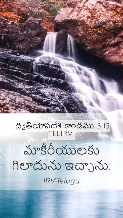 ద్వితీయోపదేశ కాండము 3:15 TELIRV Bible Verse Image