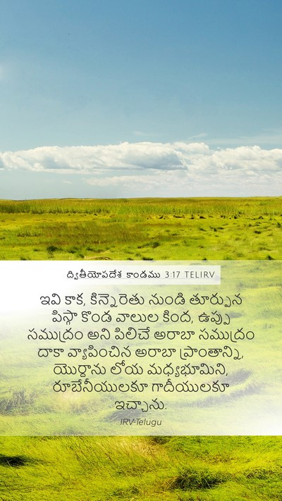ద్వితీయోపదేశ కాండము 3:17 TELIRV Bible Verse Image