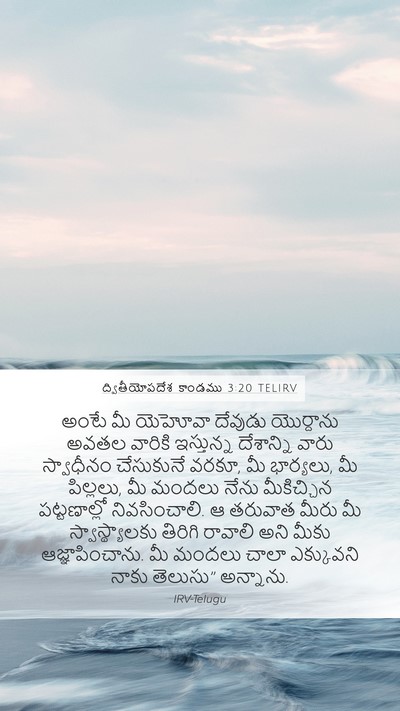 ద్వితీయోపదేశ కాండము 3:20 TELIRV Bible Verse Image