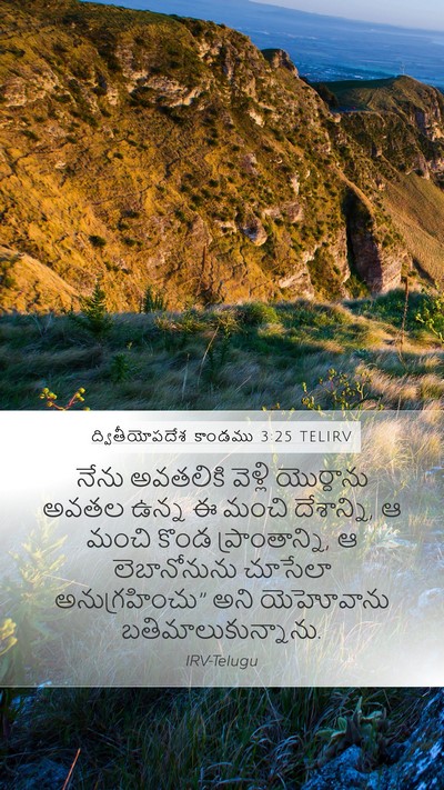 ద్వితీయోపదేశ కాండము 3:25 TELIRV Bible Verse Image