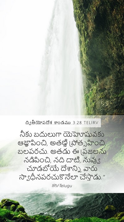 ద్వితీయోపదేశ కాండము 3:28 TELIRV Bible Verse Image