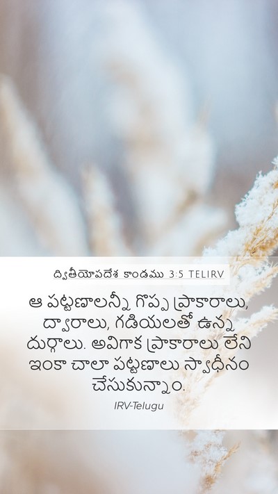 ద్వితీయోపదేశ కాండము 3:5 TELIRV Mobile Phone Wallpaper - ఆ పట్టణాలన్నీ - Mobile Bible Verse Wallpaper