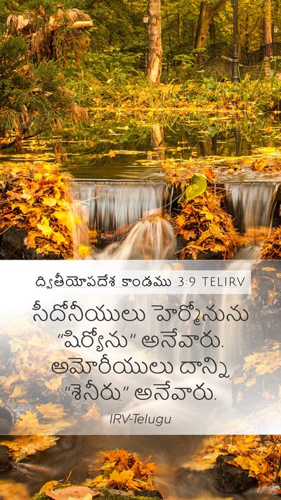 ద్వితీయోపదేశ కాండము 3:9 TELIRV Mobile Phone Wallpaper - సీదోనీయులు - Mobile Bible Verse Wallpaper
