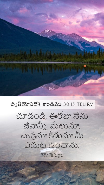 ద్వితీయోపదేశ కాండము 30:15 TELIRV Bible Verse Image