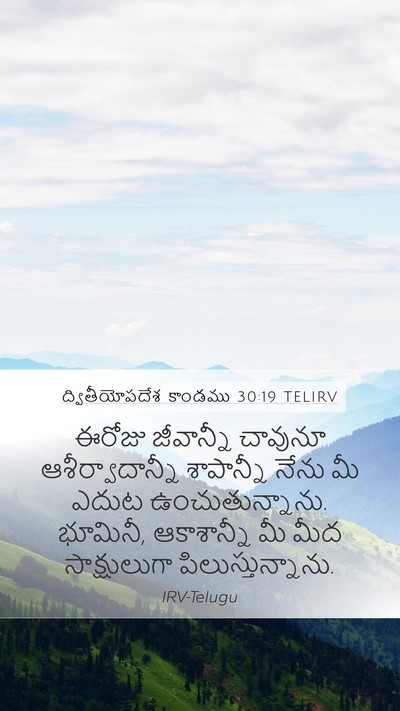 ద్వితీయోపదేశ కాండము 30:19 TELIRV Bible Verse Image