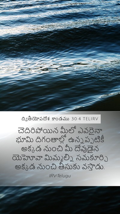 ద్వితీయోపదేశ కాండము 30:4 TELIRV Bible Verse Image