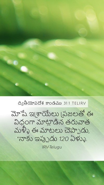 ద్వితీయోపదేశ కాండము 31:1 TELIRV Mobile Phone Wallpaper - మోషే ఇశ్రాయేలు - Mobile Bible Verse Wallpaper