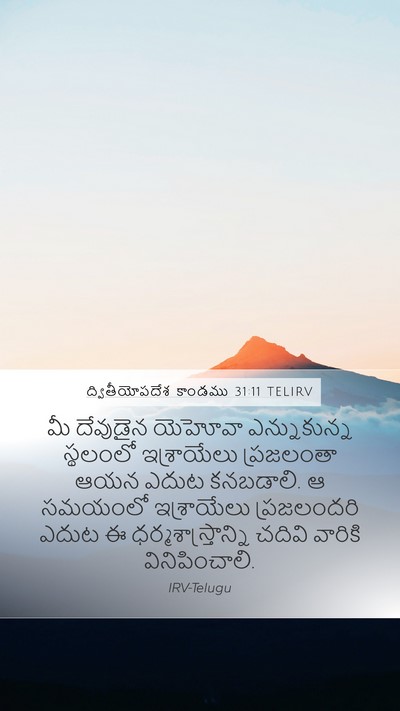 ద్వితీయోపదేశ కాండము 31:11 TELIRV Bible Verse Image