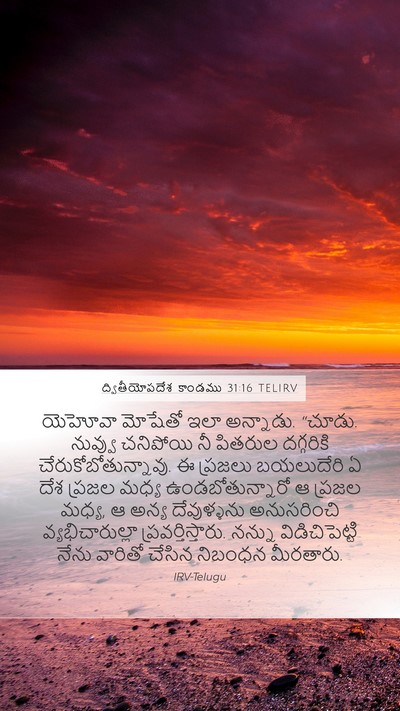 ద్వితీయోపదేశ కాండము 31:16 TELIRV Bible Verse Image
