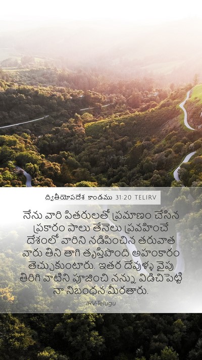 ద్వితీయోపదేశ కాండము 31:20 TELIRV Bible Verse Image