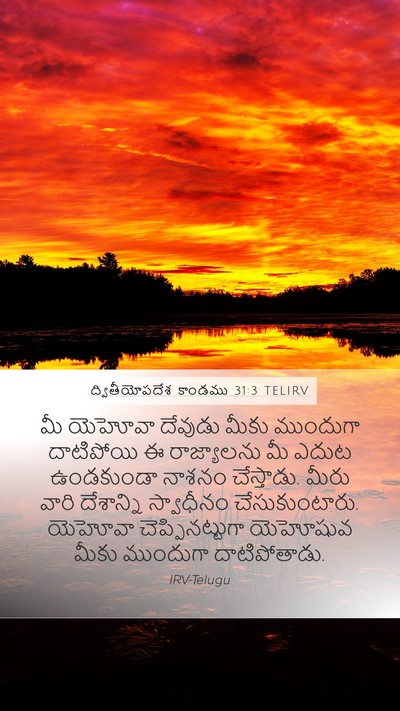 ద్వితీయోపదేశ కాండము 31:3 TELIRV Bible Verse Image