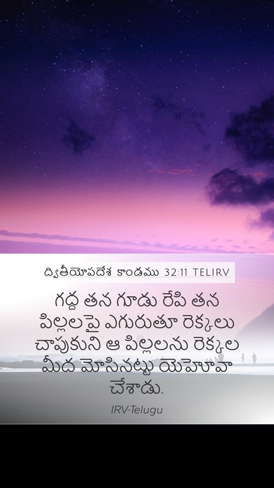 ద్వితీయోపదేశ కాండము 32:11 TELIRV Bible Verse Image