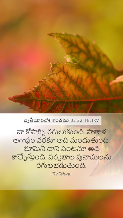 ద్వితీయోపదేశ కాండము 32:22 TELIRV Bible Verse Image