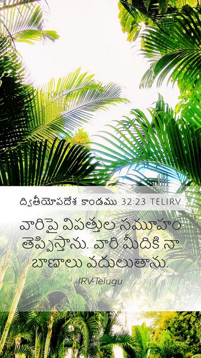 ద్వితీయోపదేశ కాండము 32:23 TELIRV Bible Verse Image