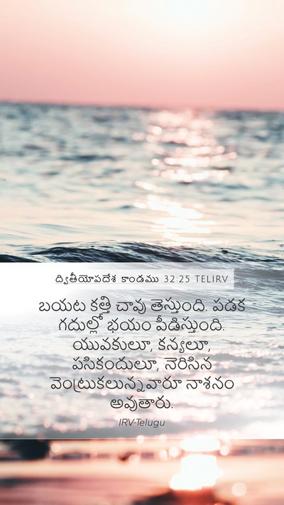 ద్వితీయోపదేశ కాండము 32:25 TELIRV Bible Verse Image