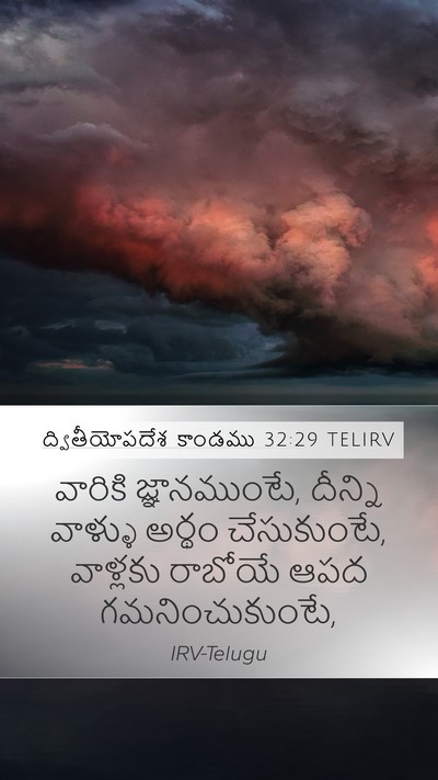 ద్వితీయోపదేశ కాండము 32:29 TELIRV Bible Verse Image