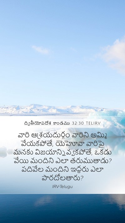 ద్వితీయోపదేశ కాండము 32:30 TELIRV Bible Verse Image