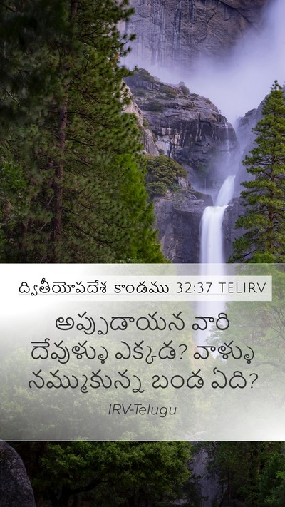 ద్వితీయోపదేశ కాండము 32:37 TELIRV Bible Verse Image