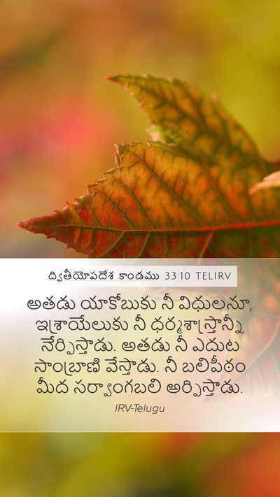 ద్వితీయోపదేశ కాండము 33:10 TELIRV Bible Verse Image