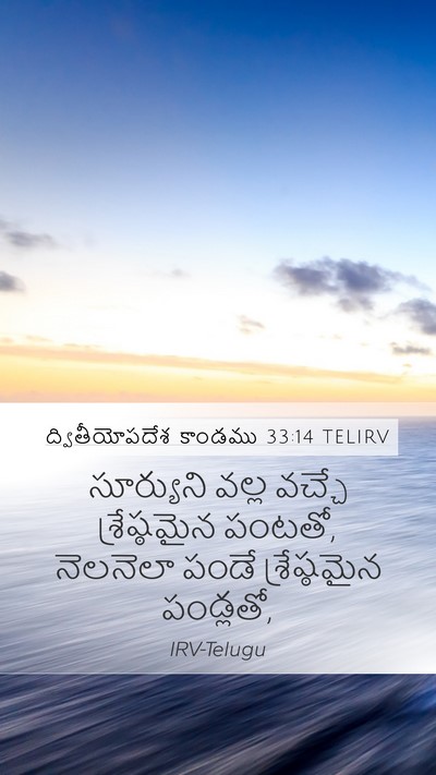 ద్వితీయోపదేశ కాండము 33:14 TELIRV Mobile Phone Wallpaper - సూర్యుని వల్ల - Mobile Bible Verse Wallpaper