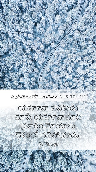 ద్వితీయోపదేశ కాండము 34:5 TELIRV Bible Verse Image