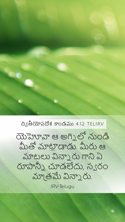 ద్వితీయోపదేశ కాండము 4:12 TELIRV Bible Verse Image