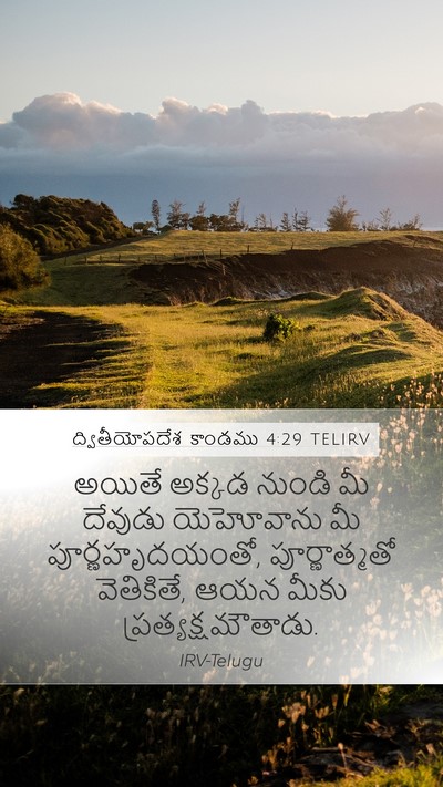 ద్వితీయోపదేశ కాండము 4:29 TELIRV Bible Verse Image