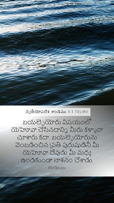 ద్వితీయోపదేశ కాండము 4:3 TELIRV Bible Verse Image