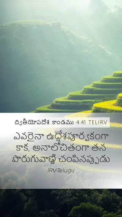 ద్వితీయోపదేశ కాండము 4:41 TELIRV Bible Verse Image