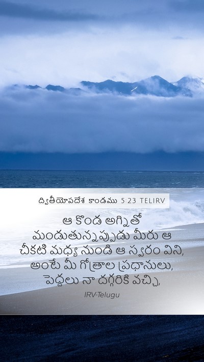 ద్వితీయోపదేశ కాండము 5:23 TELIRV Bible Verse Image