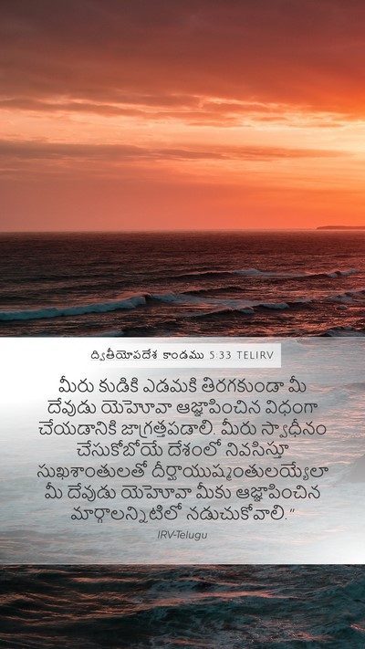 ద్వితీయోపదేశ కాండము 5:33 TELIRV Bible Verse Image