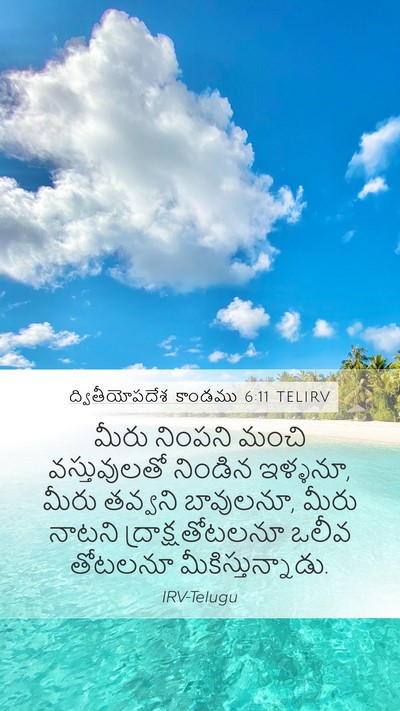 ద్వితీయోపదేశ కాండము 6:11 TELIRV Bible Verse Image