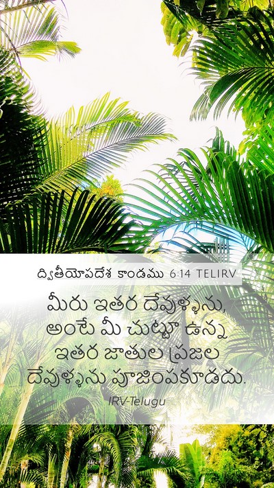 ద్వితీయోపదేశ కాండము 6:14 TELIRV Bible Verse Image