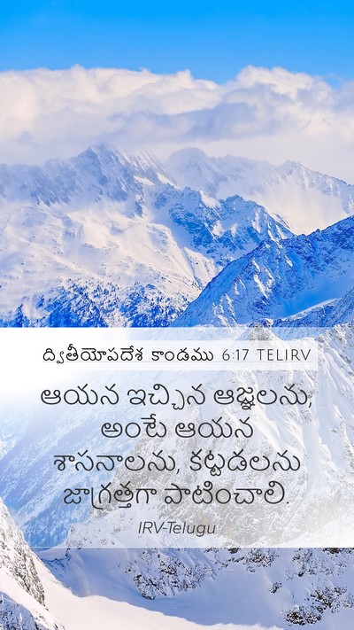 ద్వితీయోపదేశ కాండము 6:17 TELIRV Bible Verse Image