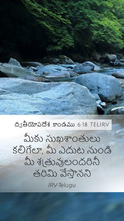 ద్వితీయోపదేశ కాండము 6:18 TELIRV Bible Verse Image
