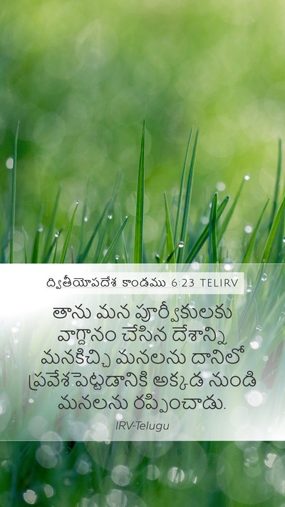 ద్వితీయోపదేశ కాండము 6:23 TELIRV Mobile Phone Wallpaper - తాను మన - Mobile Bible Verse Wallpaper