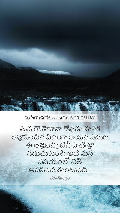 ద్వితీయోపదేశ కాండము 6:25 TELIRV Bible Verse Image