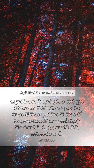 ద్వితీయోపదేశ కాండము 6:3 TELIRV Bible Verse Image