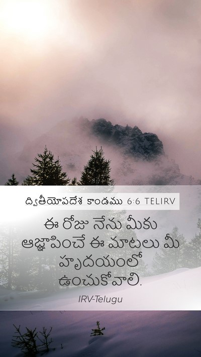 ద్వితీయోపదేశ కాండము 6:6 TELIRV Bible Verse Image