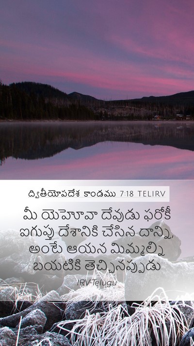 ద్వితీయోపదేశ కాండము 7:18 TELIRV Bible Verse Image