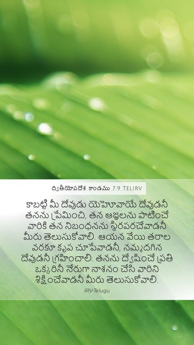 ద్వితీయోపదేశ కాండము 7:9 TELIRV Bible Verse Image