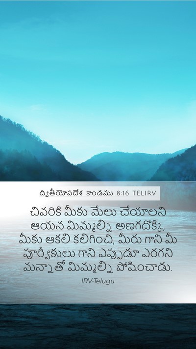 ద్వితీయోపదేశ కాండము 8:16 TELIRV Bible Verse Image