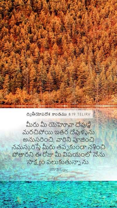 ద్వితీయోపదేశ కాండము 8:19 TELIRV Bible Verse Image