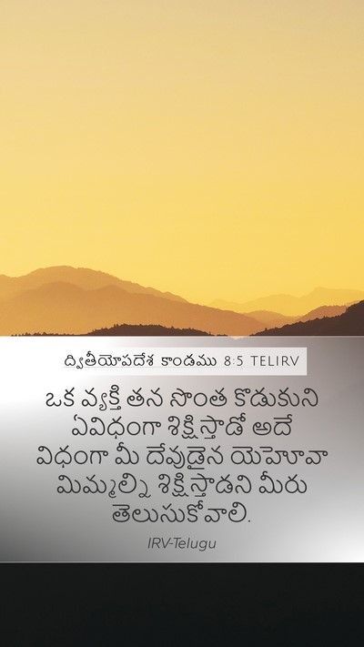 ద్వితీయోపదేశ కాండము 8:5 TELIRV Bible Verse Image
